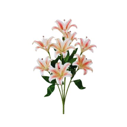 R. LILIUM TACTO NATURAL *SALMON