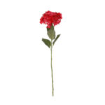 HORTENSIA *CEREZA