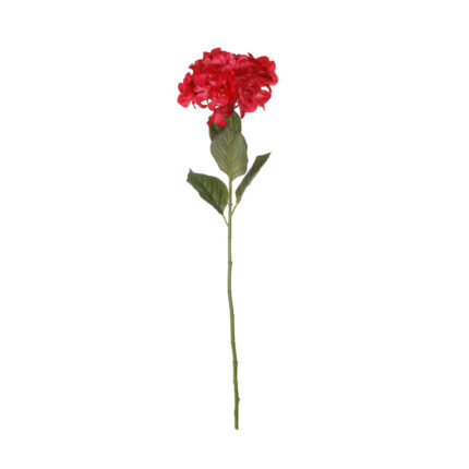 HORTENSIA *CEREZA