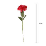 HORTENSIA *CEREZA