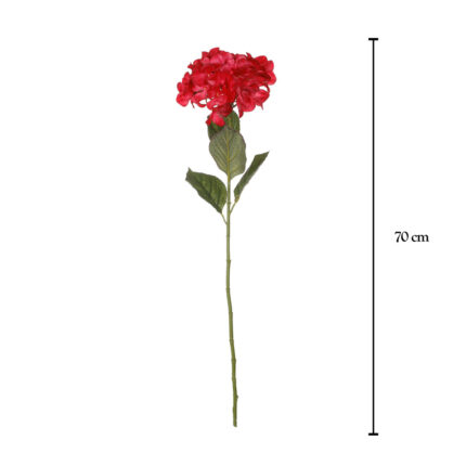HORTENSIA *CEREZA