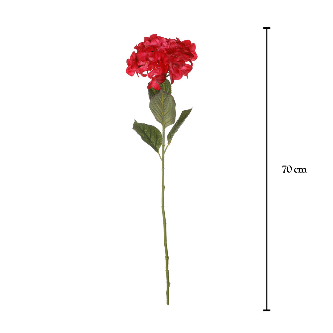 HORTENSIA *CEREZA