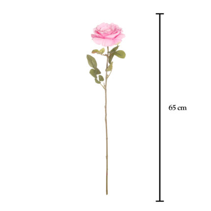 ROSA GRANDIFLORA *MALVA
