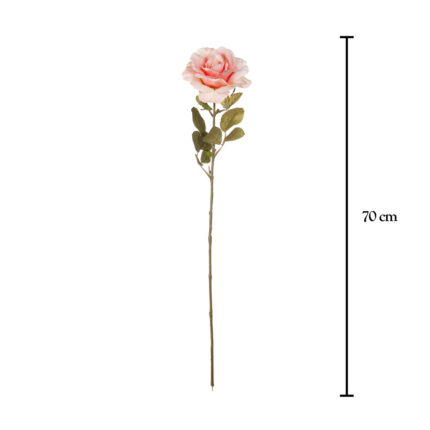 ROSA GRANDIFLORA *SALMON