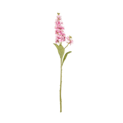 DELPHINIUM ARTEMISA *MALVA