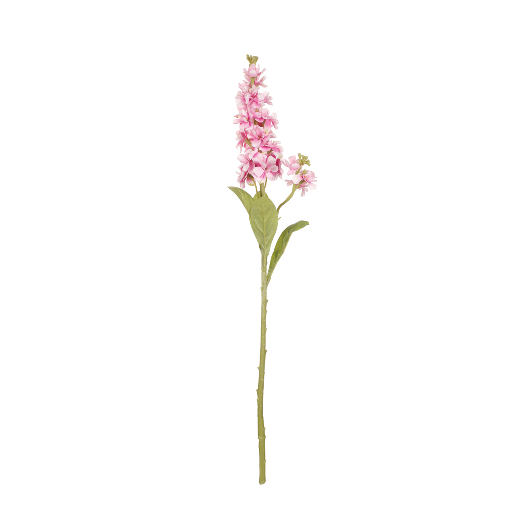 DELPHINIUM ARTEMISA *MALVA