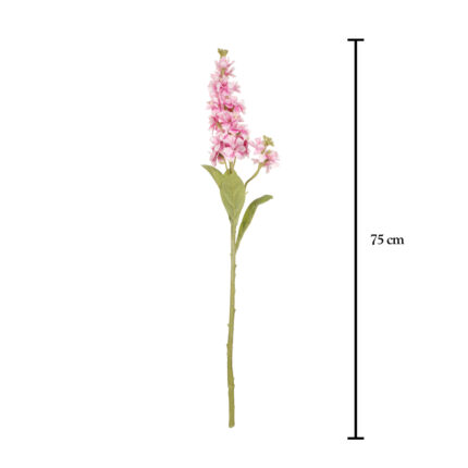 DELPHINIUM ARTEMISA *MALVA