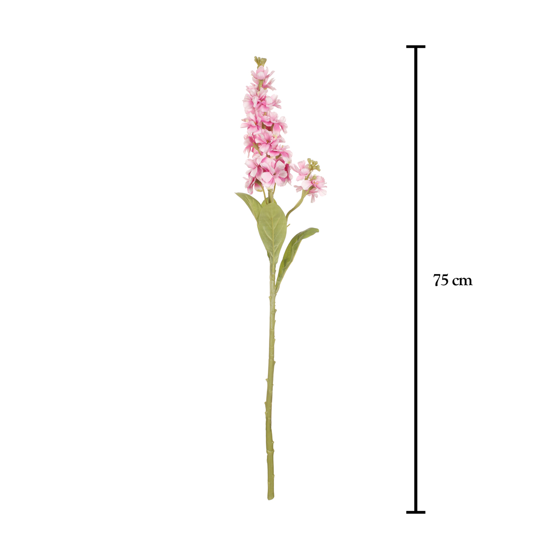DELPHINIUM ARTEMISA *MALVA