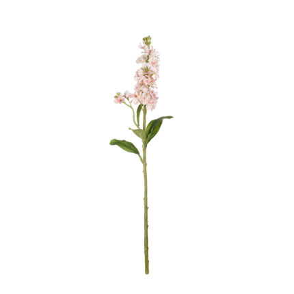 DELPHINIUM ARTEMISA *SALMON