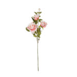 ROSA GRANDIFLORA X3 *SALMON