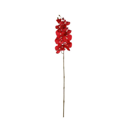 PHALENOPSIS AURA *ROJO