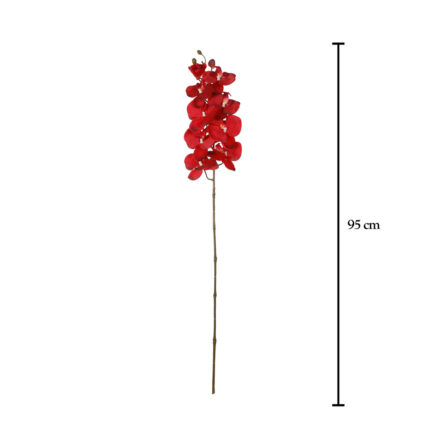 PHALENOPSIS AURA *ROJO