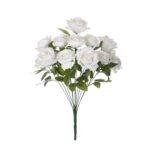 R. ROSA/ROSITA *BLANCO