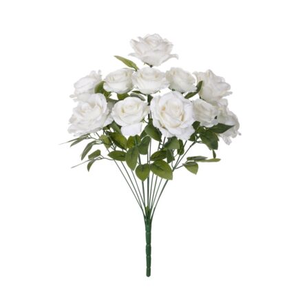 R. ROSA/ROSITA *BLANCO