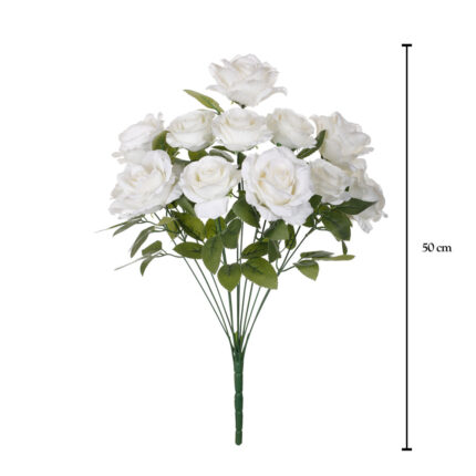 R. ROSA/ROSITA *BLANCO