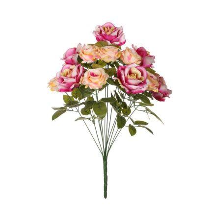 R. ROSA/ROSITA *FUXIA