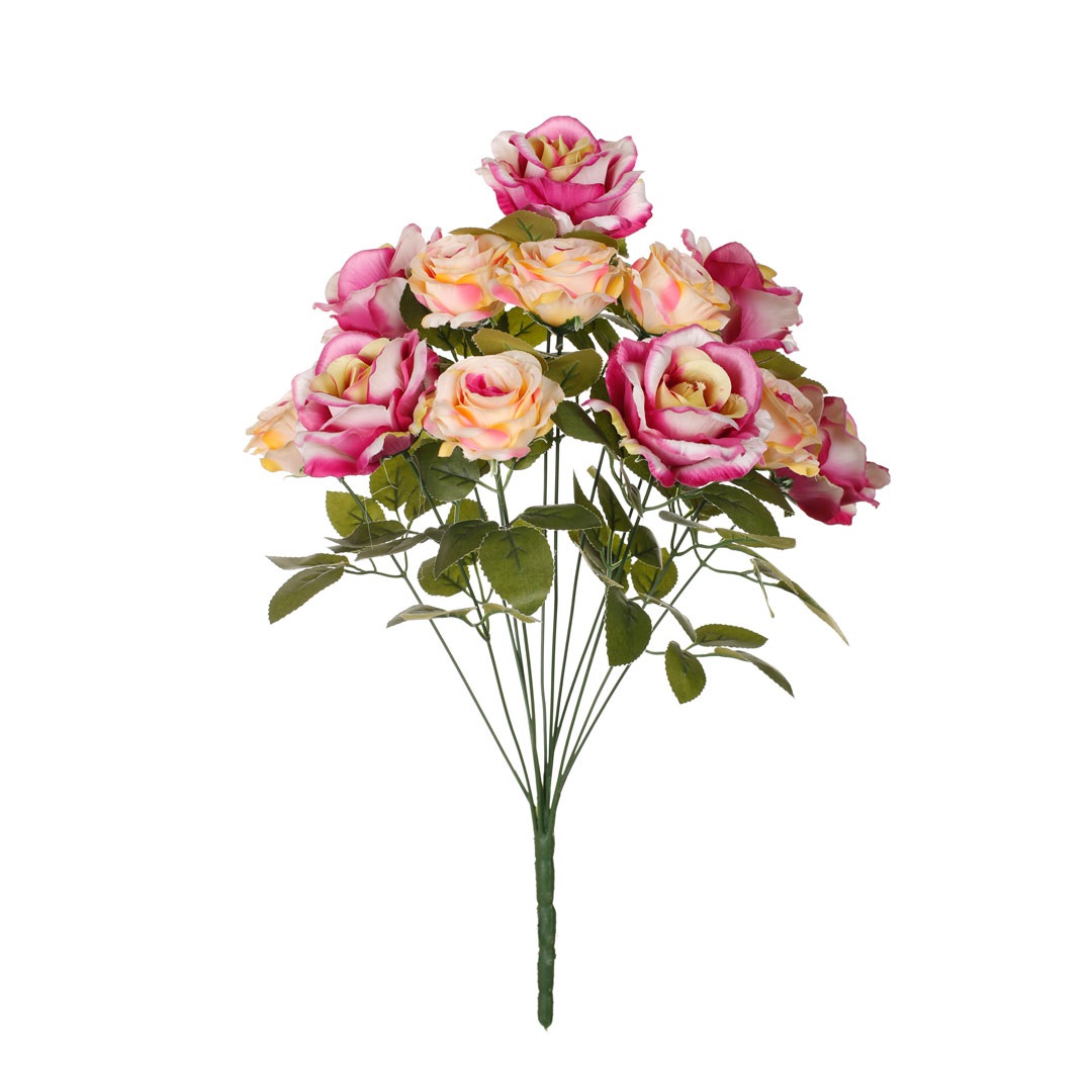 R. ROSA/ROSITA *FUXIA
