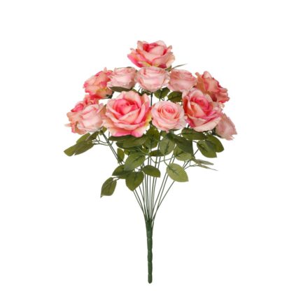 R. ROSA/ROSITA *ROSA
