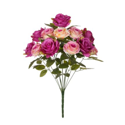 R. ROSA/ROSITA *VIOLETA