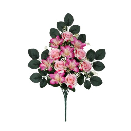 R. ENC. ROSITA/ASTROMELIA *FUXIA