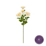 VARA PEONIA ARBOREA X4