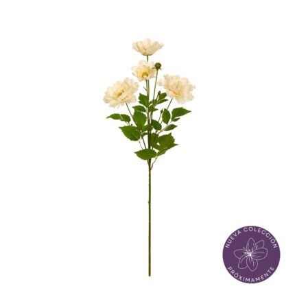 VARA PEONIA ARBOREA X4