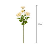 VARA PEONIA ARBOREA X4