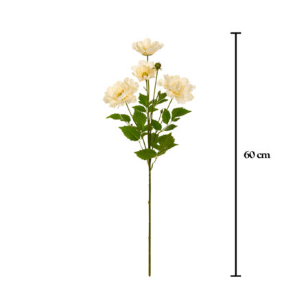 VARA PEONIA ARBOREA X4