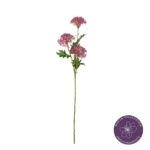 VARA SEMILLA HORTENSIA X3