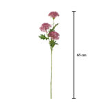 VARA SEMILLA HORTENSIA X3
