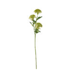 VARA SEMILLA HORTENSIA X3