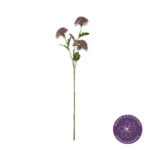 VARA SEMILLA HORTENSIA X3
