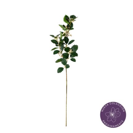 VARA ACEBO VERDE *BLANCO
