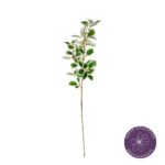 VARA ACEBO BICOLOR