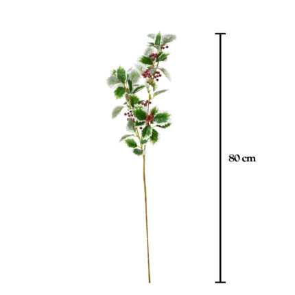 VARA ACEBO BICOLOR