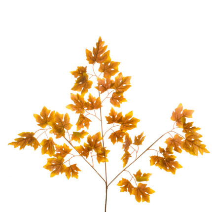 MAPLE MINI OTOÑAL (LD08C053)