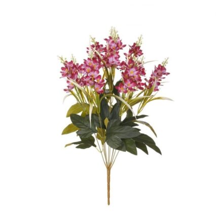R. DELPHINIUM *FUXIA