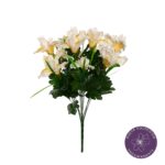 R. IRIS