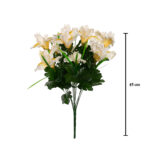 R. IRIS