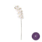 VARA ORQUIDEA GRD REAL TOUCH *BLANCO