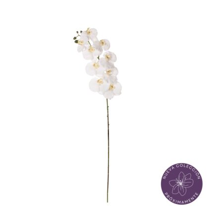 VARA ORQUIDEA GRD REAL TOUCH *BLANCO
