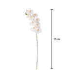 VARA ORQUIDEA GRD REAL TOUCH