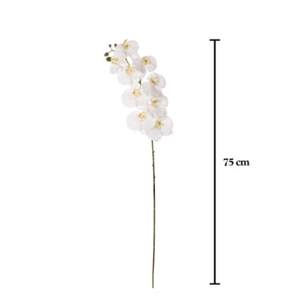 VARA ORQUIDEA GRD REAL TOUCH