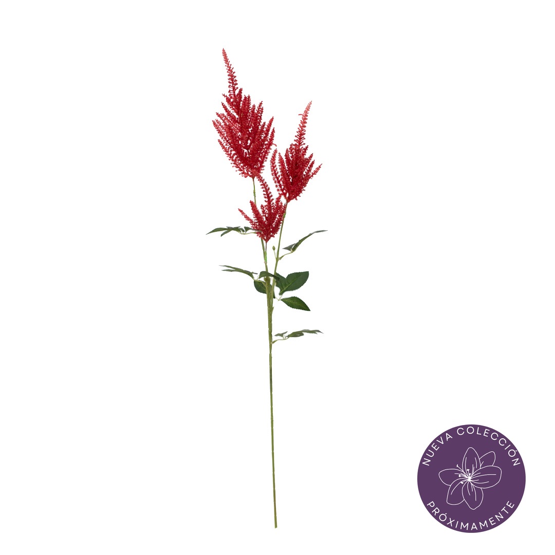 99096476-17.jpg VARA AMARANTHUS *MARRON