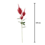 VARA AMARANTHUS *MARRON