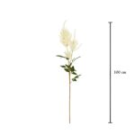 VARA AMARANTHUS *BEIGE