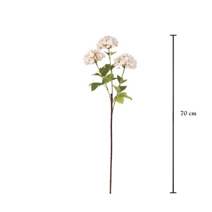 VARA ALLIUM X3 *BLANCO
