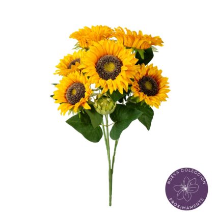 R. GIRASOL GIG. *AMARILLO