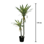 PLANTA PALDANO X2 1.30CM *V.OSCURO
