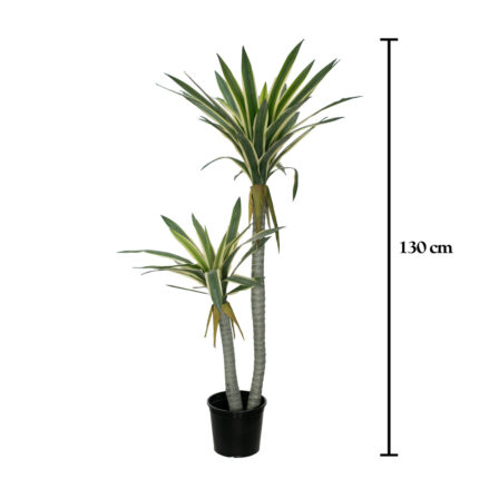PLANTA PALDANO X2 1.30CM *V.OSCURO